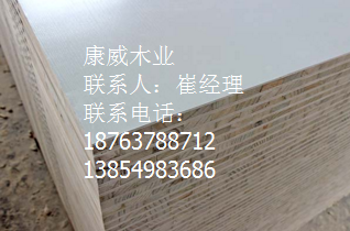 午夜剧院在线观看兔费APP 午夜剧院在线观看兔费APP