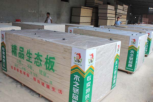 午夜视频APP色站下载桐木精品午夜剧院在线观看兔费APP