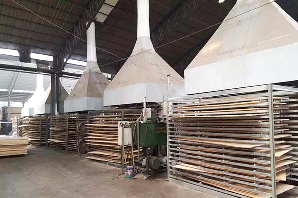 桐木午夜剧院在线观看兔费APP材熱壓機工作現場