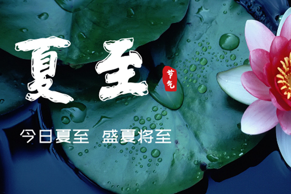 午夜视频APP色站下载木業 | 盛夏已至,滿目繁華