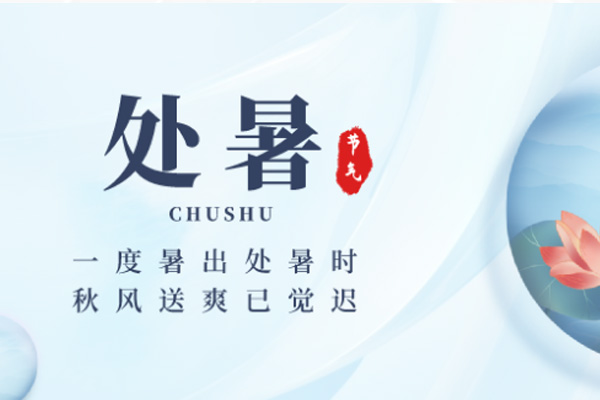 午夜视频APP色站下载木業 | 暑退秋近,涼意徐徐